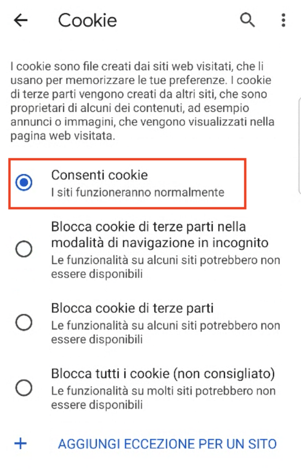 Cookies_Chrome_Step_3b.png
