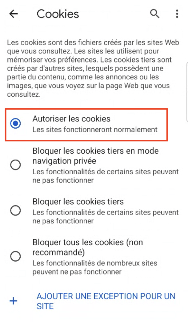 Cookies_Chrome_Step_3b.png