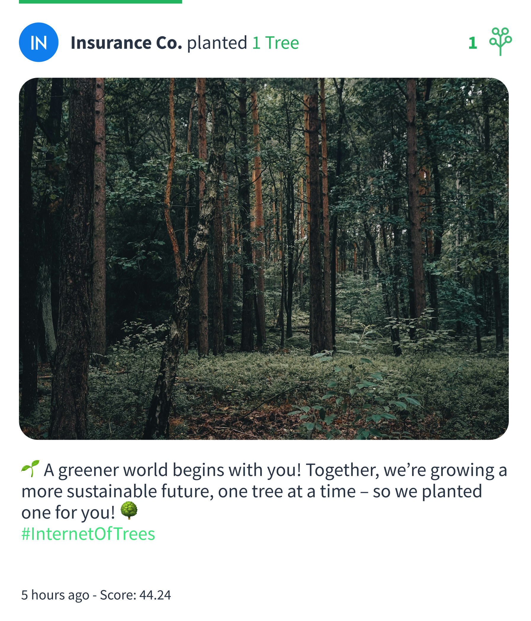 TreePlanting_Mockup_Success_Insurance.png
